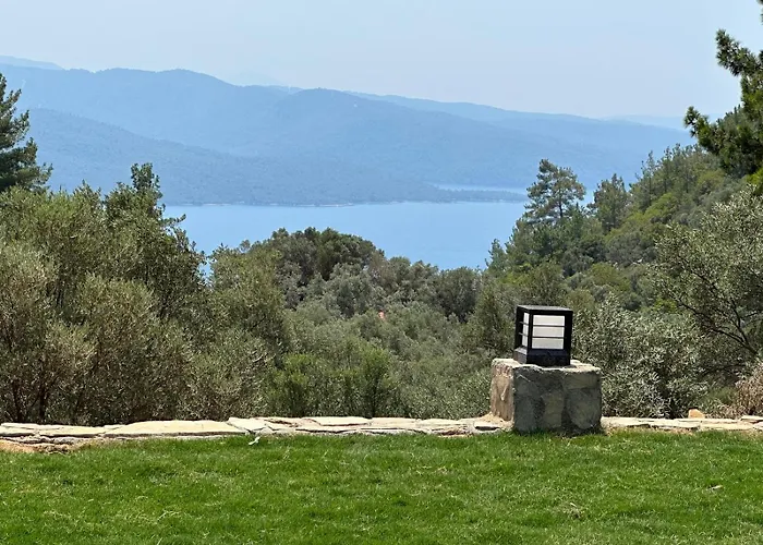 Berceste 아파트 *